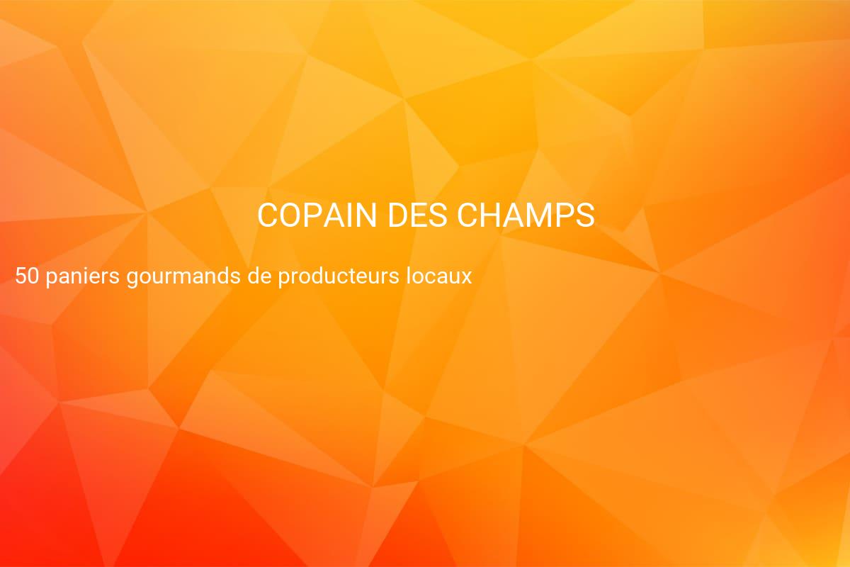 jeux concours COPAIN DES CHAMPS